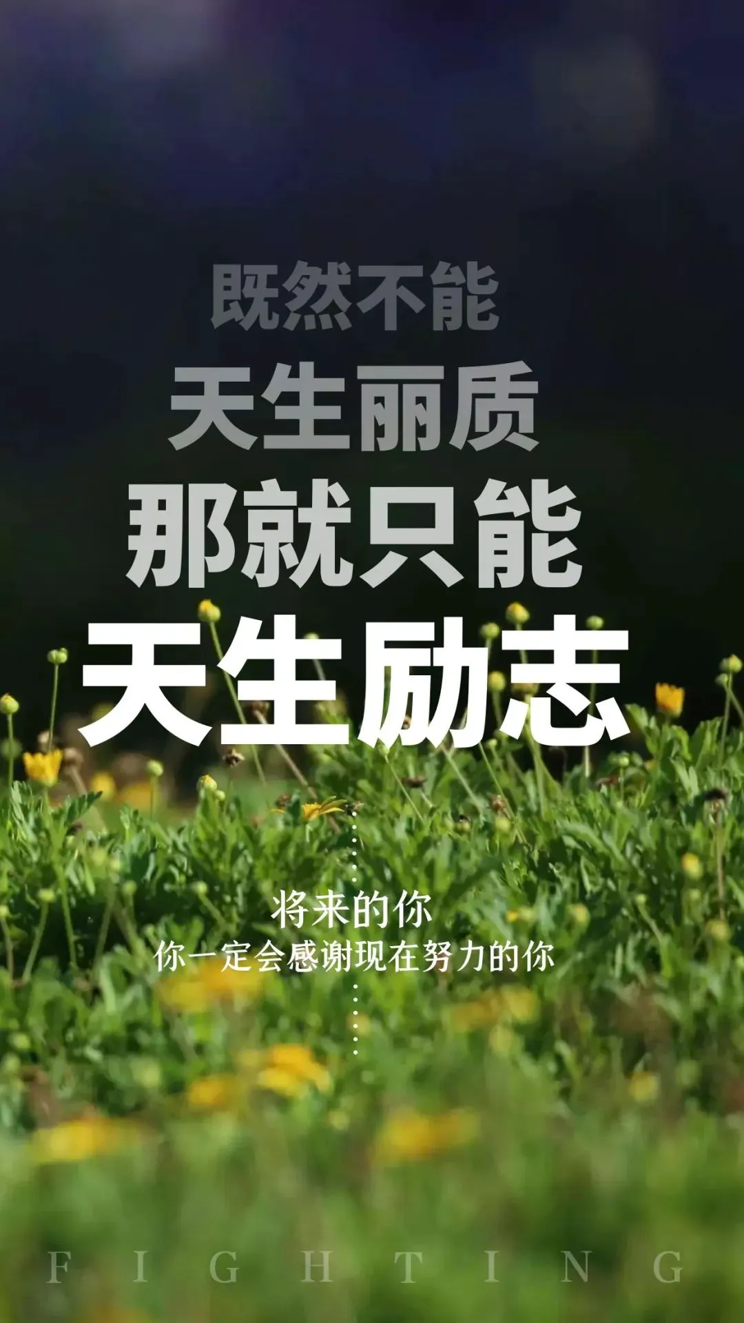 如何制定一个全面的篮球力量训练和发展计划?_0